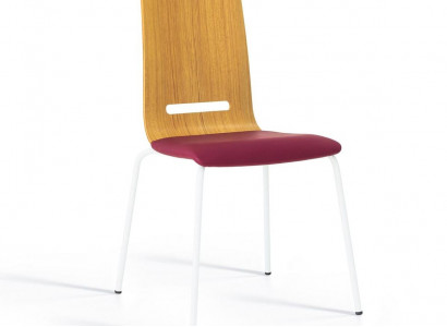 Dining room chair luxury furniture modern chair designer chairs furnishing new
